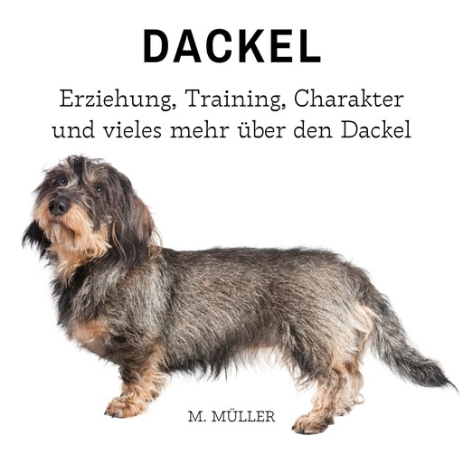 Dackel, Müller