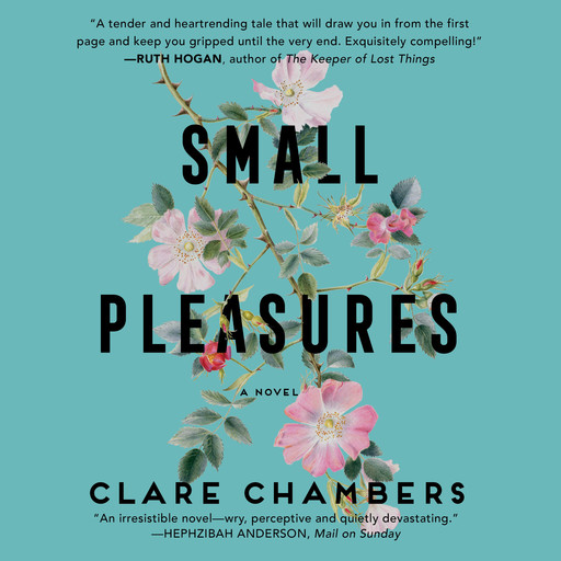 Small Pleasures, Clare Chambers