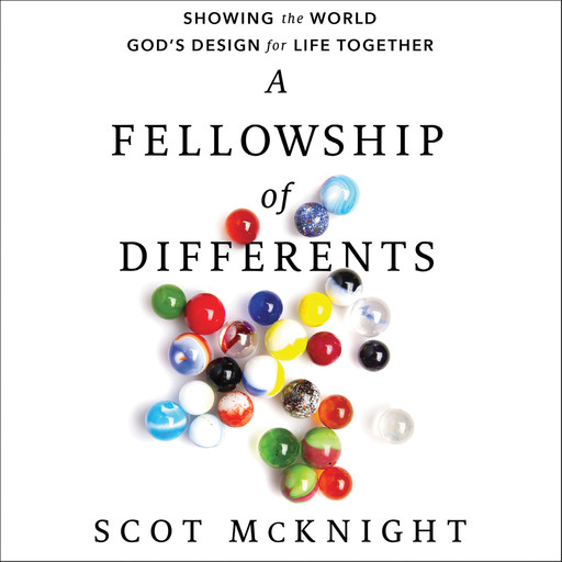 A Fellowship of Differents, Scot McKnight