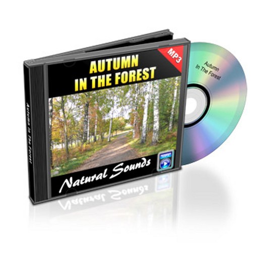 Autumn In The Forest - Relaxation Music and Sounds, Empowered Living