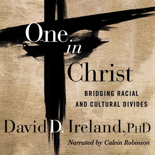 One in Christ, David Ireland