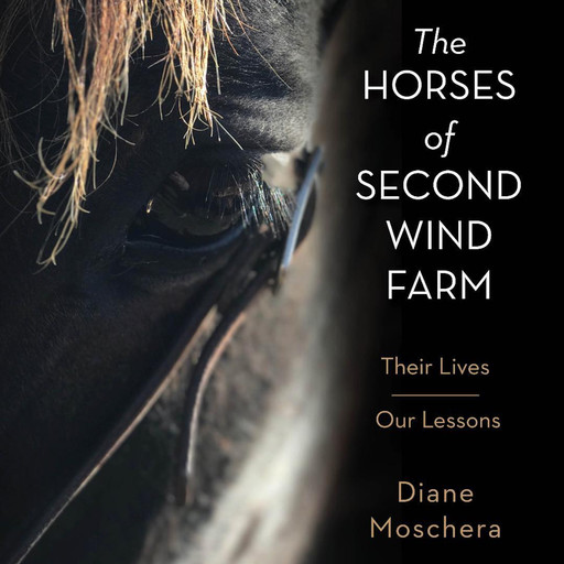 The Horses of Second Wind Farm, Diane Moschera