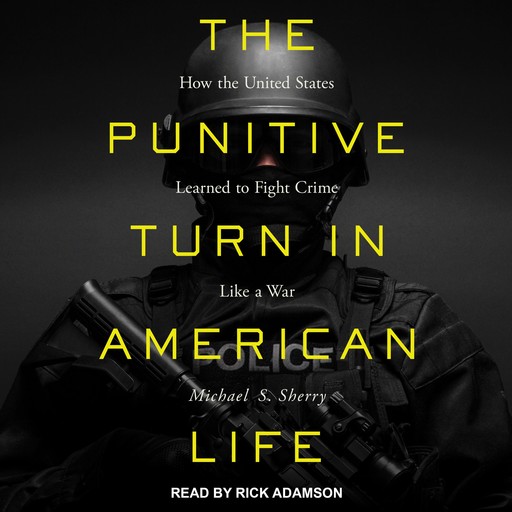 The Punitive Turn in American Life, Michael S. Sherry