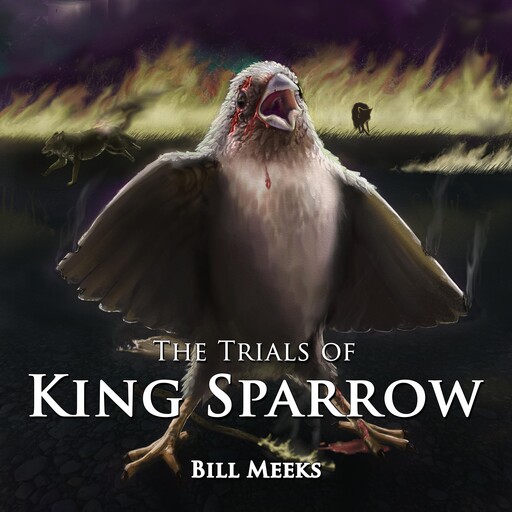 The Trials of King Sparrow, Bill Meeks