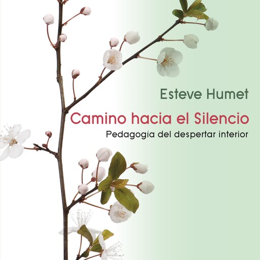Camino hacia el silencio. Pedagogía del despertar interior, Esteve Humet