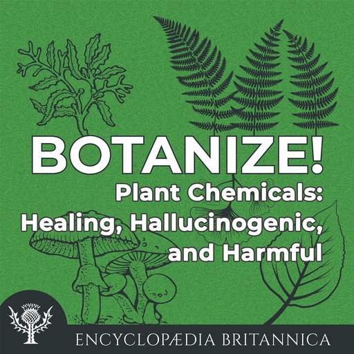 Plant Chemicals: Healing, Hallucinogenic, and Harmful, Melissa Petruzzello
