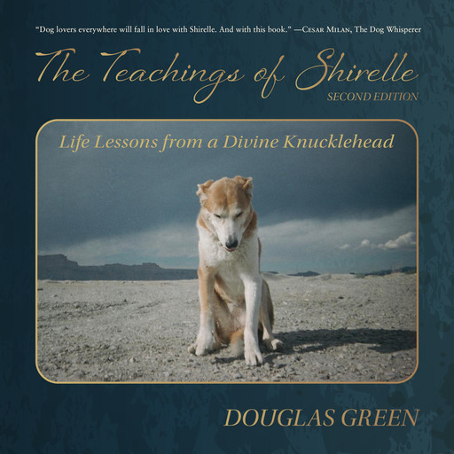 The Teachings of Shirelle, Douglas Green