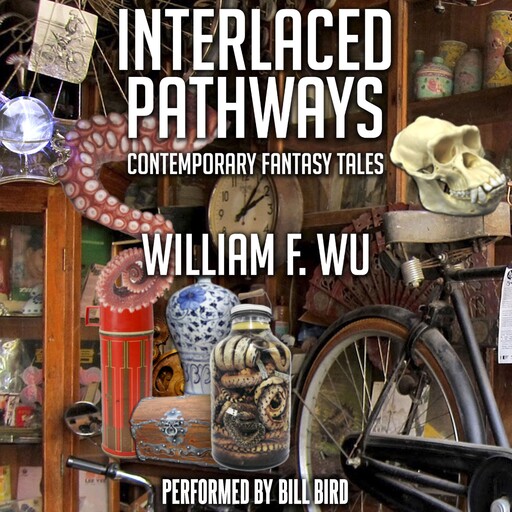 Interlaced Pathways, William F.Wu