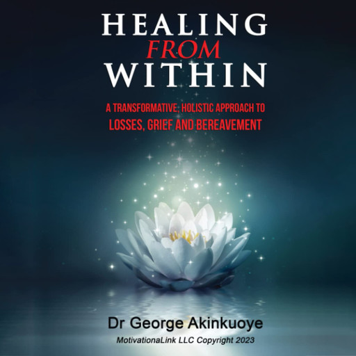 HEALING FROM WITHIN: A TRANSFORMATIVE HOLISTIC APPROACH TO LOSSES, GRIEF AND BEREAVEMENT: A Transformative Holistic Approach To Losses, Grief And Bereavement, George Akinkuoye