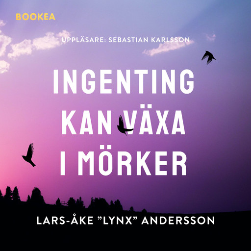 Ingenting kan växa i mörker, Lars-Åke "Lynx" Andersson