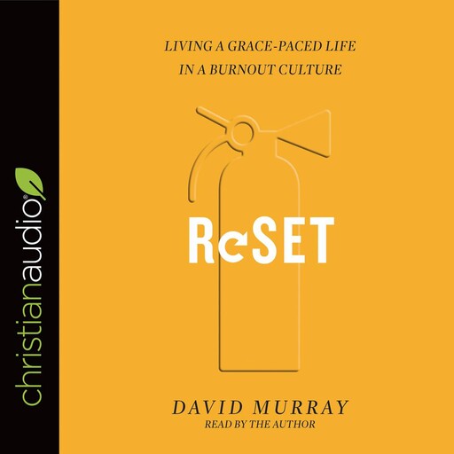 Reset, David Murray