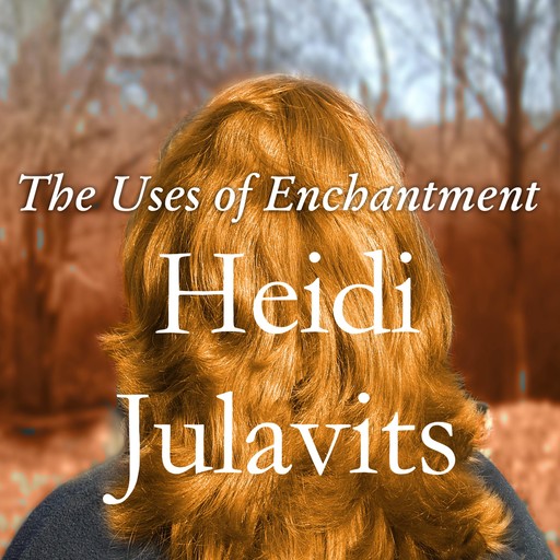 The Uses of Enchantment, Heidi Julavits