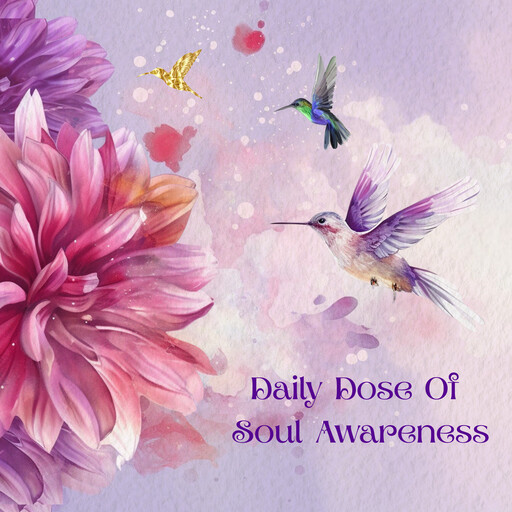 Audio Companion To The Daily Dose Of Soul Awareness™️ Journal, Diana Adamko