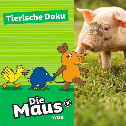 Die Maus, Tierische Doku - Tierheim Düren, Die Maus