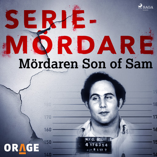 Mördaren Son of Sam, Orage
