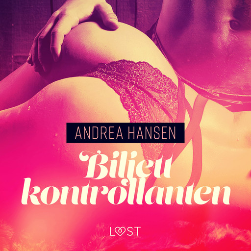 Biljettkontrollanten - erotisk novell, Andrea Hansen