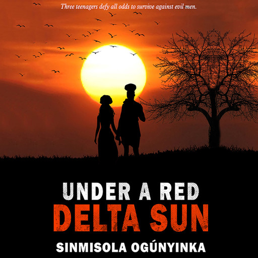 Under A Red Delta Sun, Sinmisola Ogunyinka