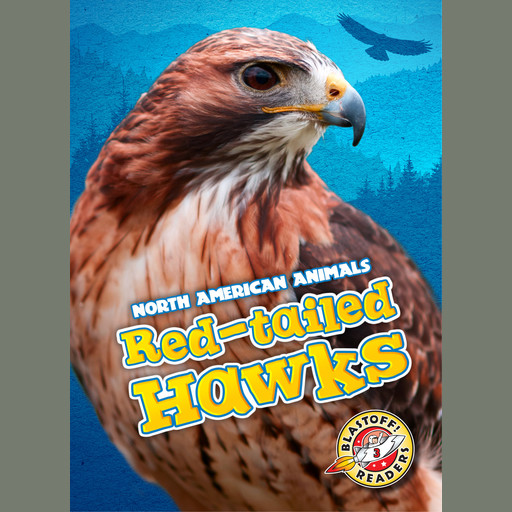 Red-tailed Hawks, Megan Borgert-Spaniol