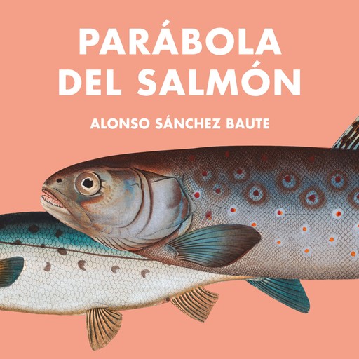 Parábola del Salmón, Alonso Sánchez Baute