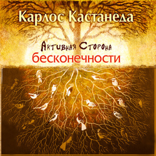 Активная сторона бесконечности, Карлос Кастанеда