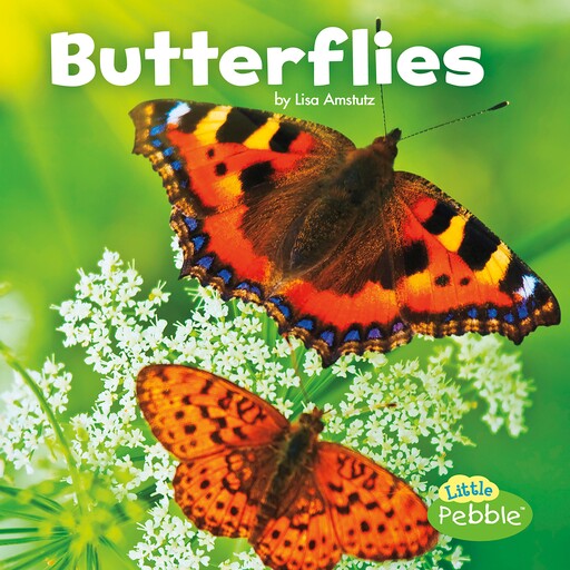Butterflies, Lisa Amstutz