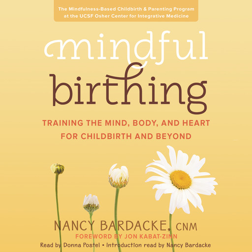 Mindful Birthing, Nancy Bardacke