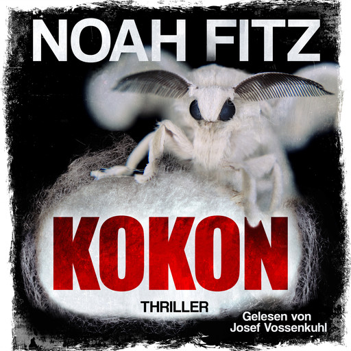 Kokon, Noah Fitz