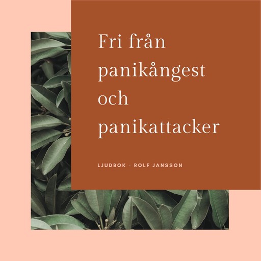 Fri från panikångest och panikattacker, Rolf Jansson