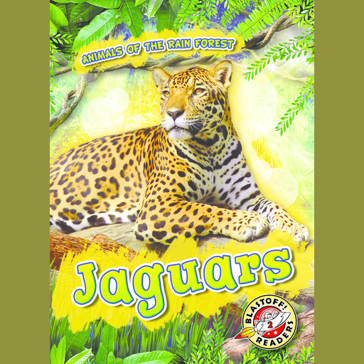 Jaguars, Rachel Grack