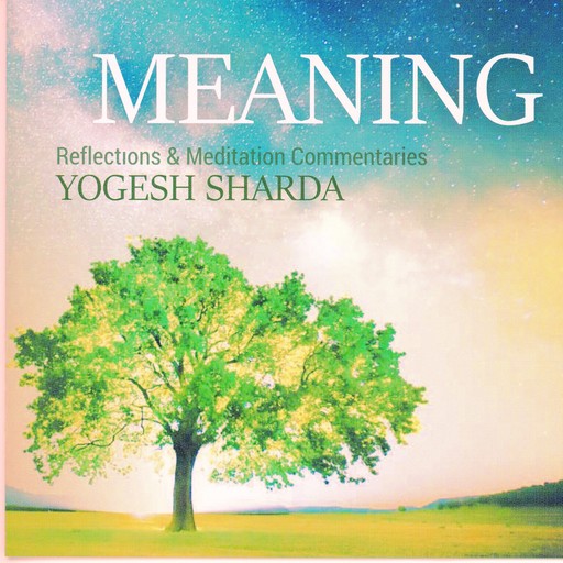 Meaning, Yogesh Sharda
