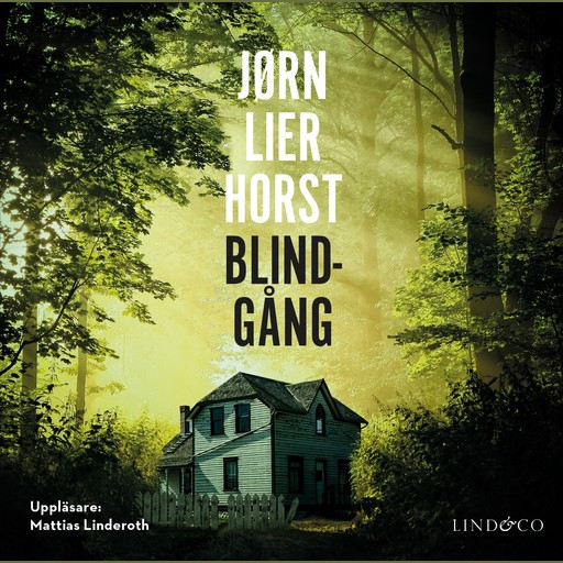 Blindgång, Jørn Lier Horst