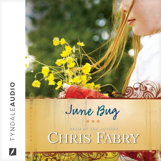 June Bug, Chris Fabry
