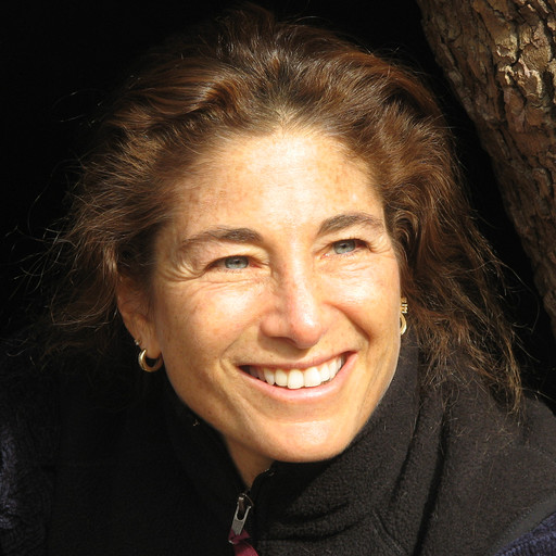 The Stories that Empower Us: A Conversation between Tara Brach and Elizabeth Lesser (2020-11-18), Tara Brach