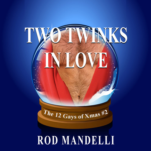 Two Twinks In Love - 12 Gays of Xmas, book 2 (Unabridged), Rod Mandelli
