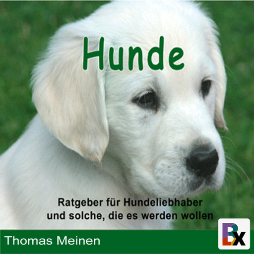 Ratgeber für Hundeliebhaber/innen und solche, die es werden wollen, Thomas Meinen
