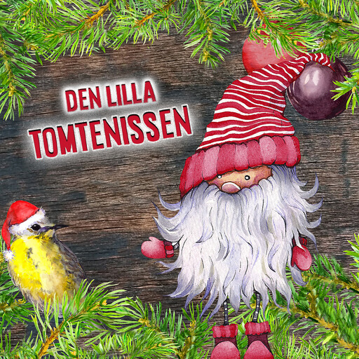 Den lilla tomtenissen, 