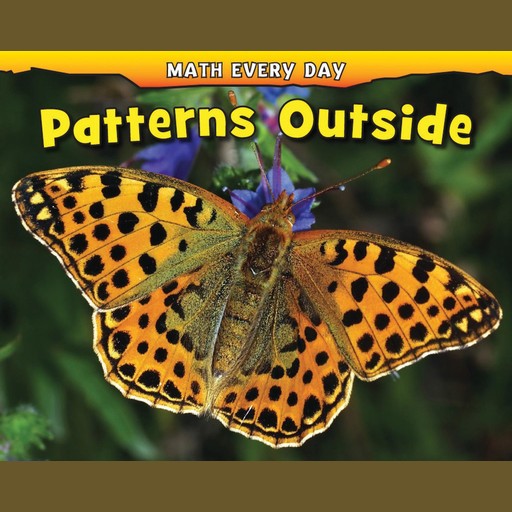 Patterns Outside, Daniel Nunn