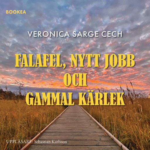 Falafel, nytt jobb och gammal kärlek, Veronica Sarge Cech