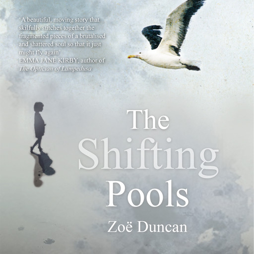 The Shifting Pools (Unabridged), Duncan Zoe