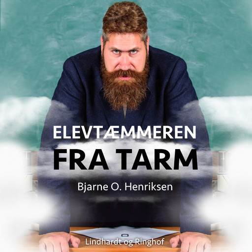Elevtæmmeren fra Tarm, Bjarne Henriksen