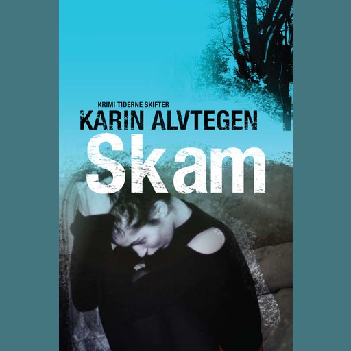 Skam, Karin Alvtegen