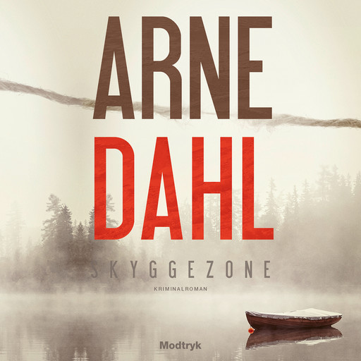 Skyggezone, Arne Dahl