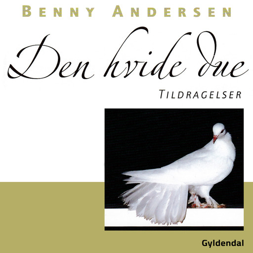 Den hvide due : tildragelser, Benny Andersen