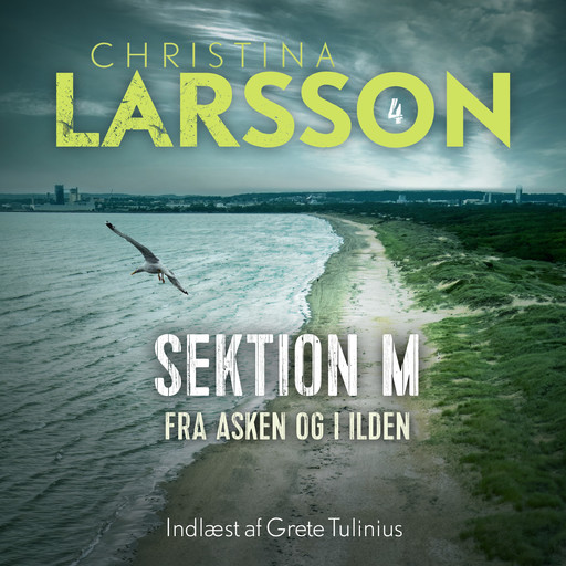 Sektion M IV, Christina Larsson