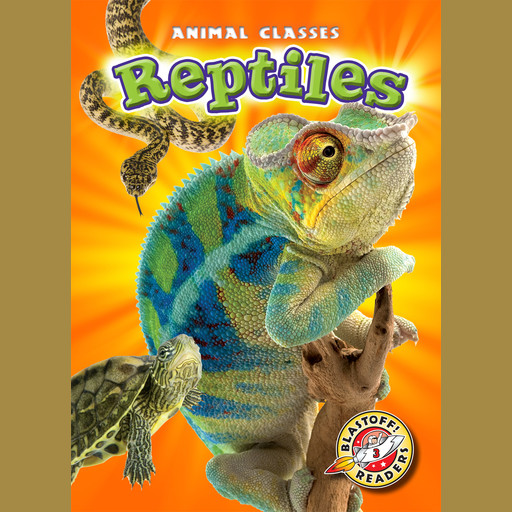 Reptiles, Kari Schuetz