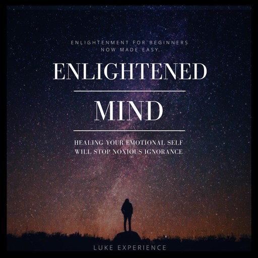 Enlightened Mind, Luke Experience