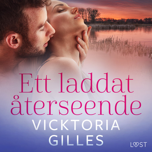 Ett laddat återseende - erotisk novell, Vicktoria Gilles