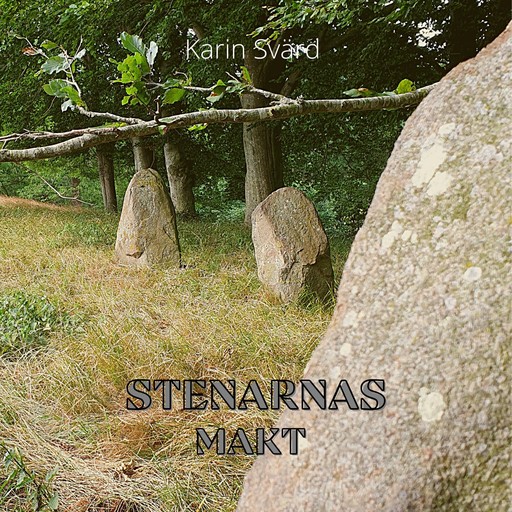 Stenarnas makt, Karin Svärd