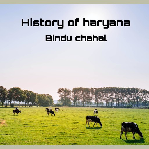 History of haryana, Bindu chahal