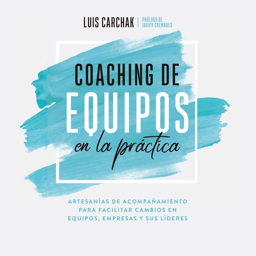 Coaching de equipos en la práctica, Luis Carchak